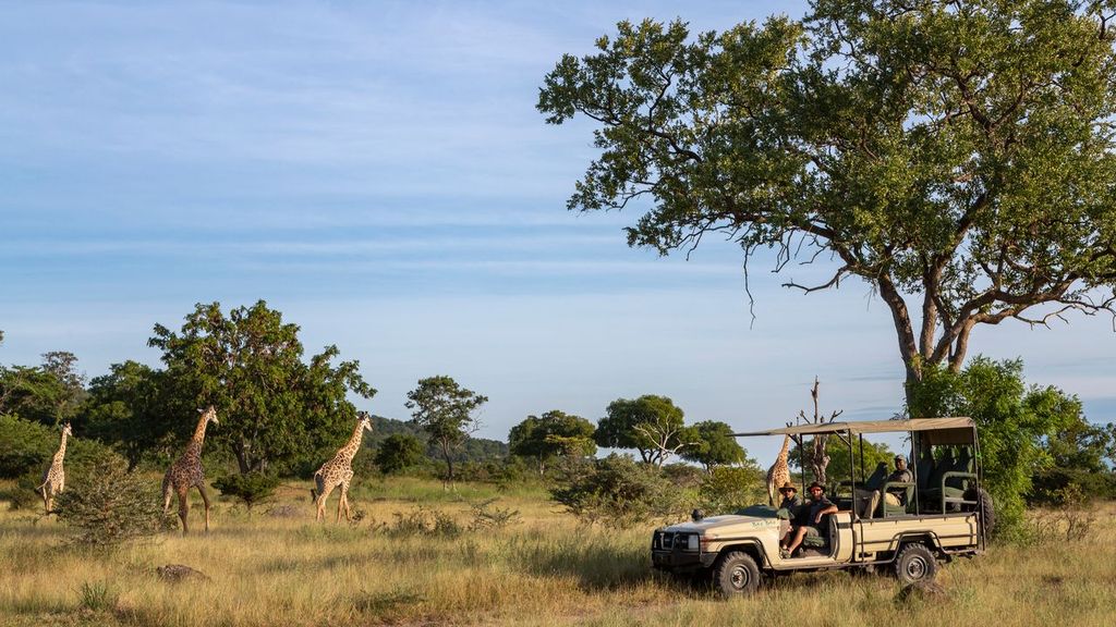 Guests on a guided walking safari