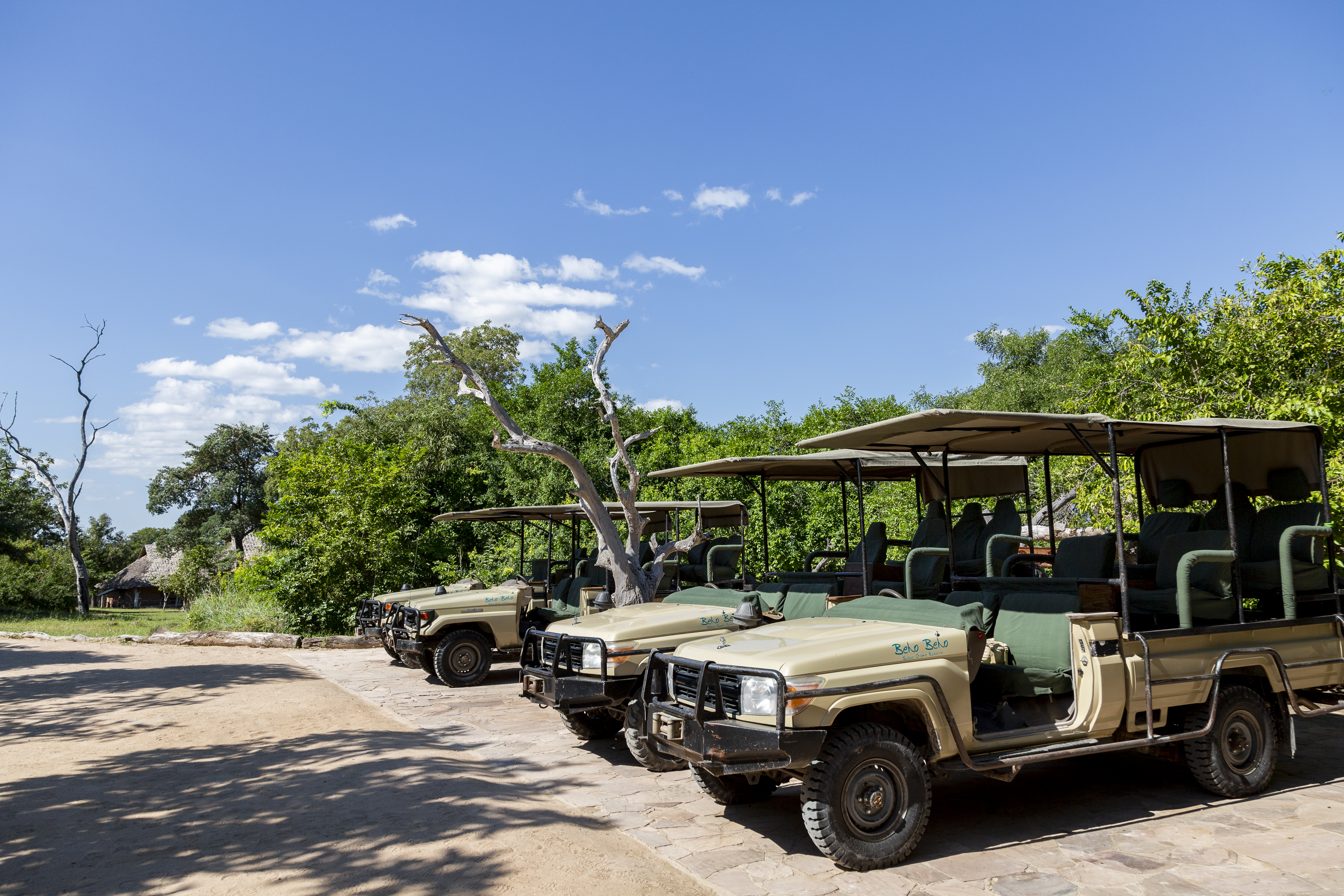 Safari game drive in Nyerere National Park